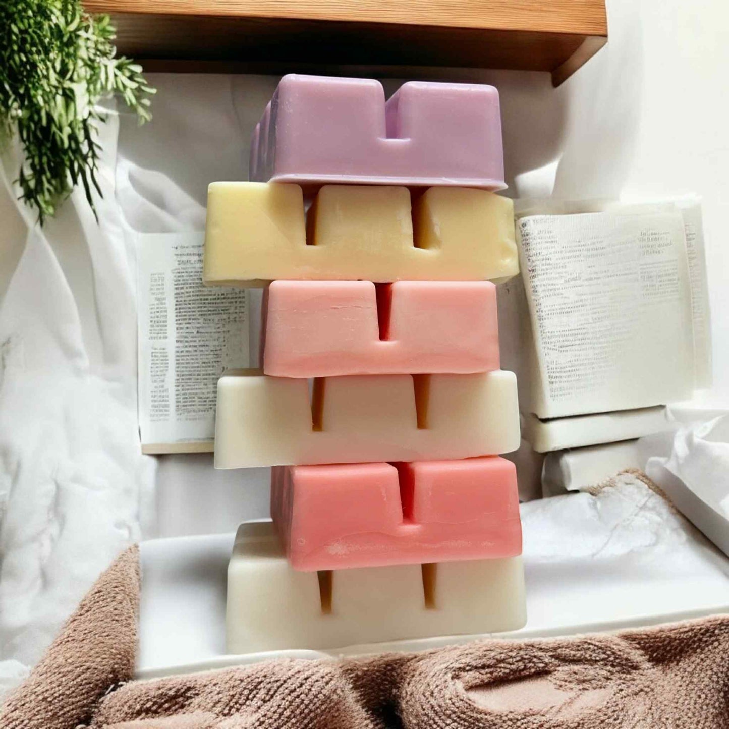 Clam Shell Wax Melts - Watermelon Candy
