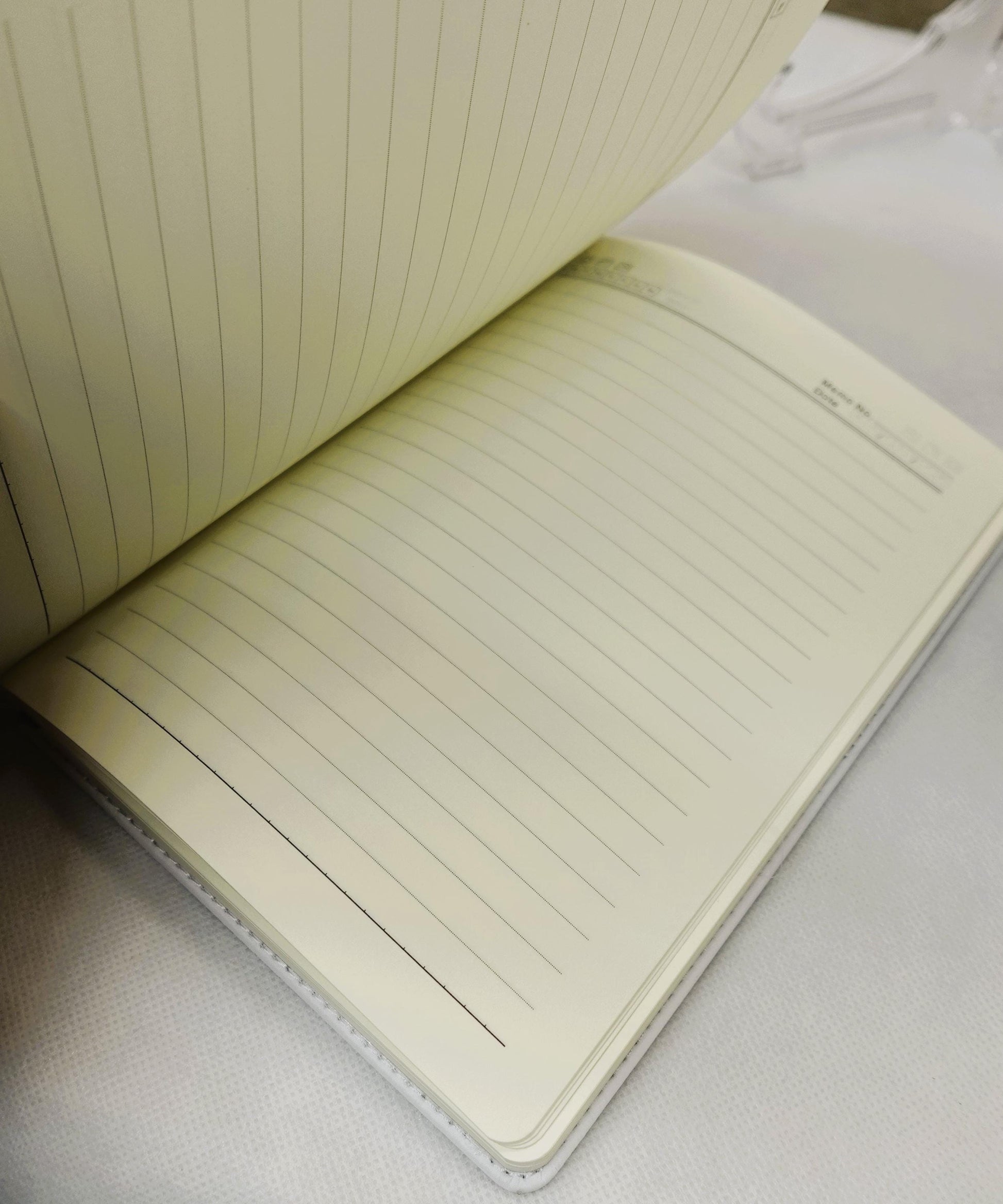 Skull Dream Catcher Journal Gift